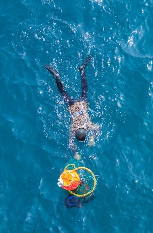 Haenyeo free divers on Jeju Island