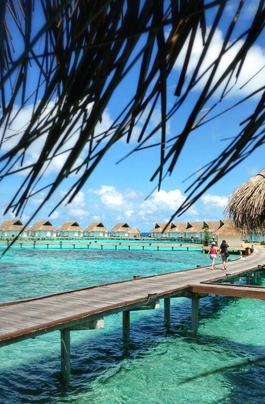 Couple on a tropical Maldives