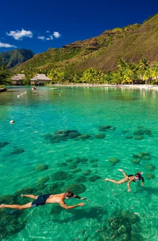 Snorkeling in Bora Bora