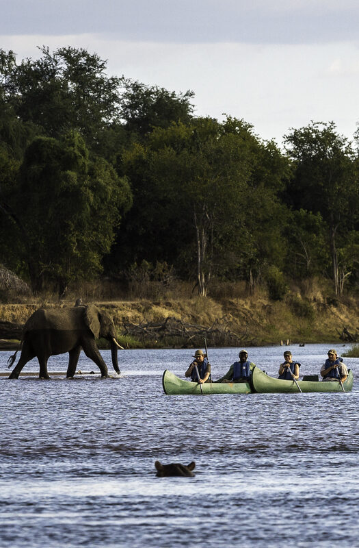 Canoeing at Wilderness Ruckomechi, Mana Pools