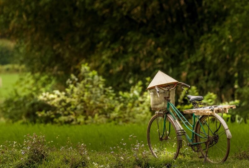 A cycling tour through the rice fields of Mai Chau in Vietnam