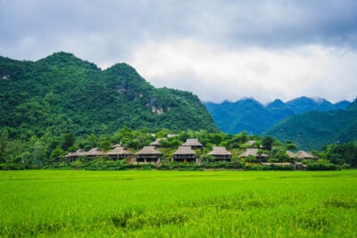 Rice fields in Mai Chau, Vietnam