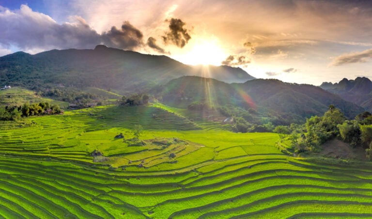 Rice fileds in Mai Chau, Vietnam