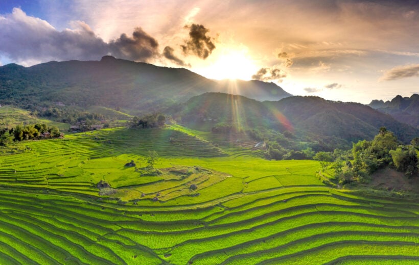 Rice fileds in Mai Chau, Vietnam