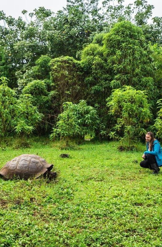 The Galapagos National Park