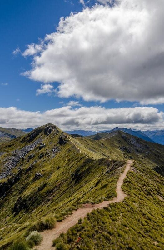 Fiordland National Park view on a Kepler track in New Zealand.