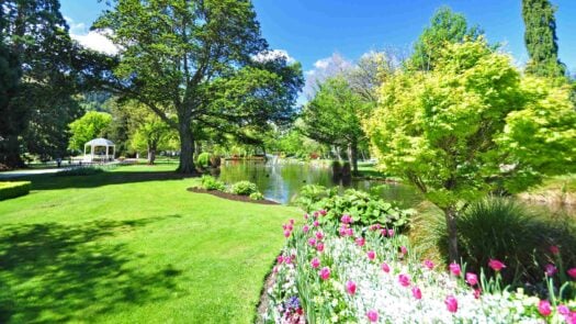 Queenstown Gardens, South Island, New Zealand in spring