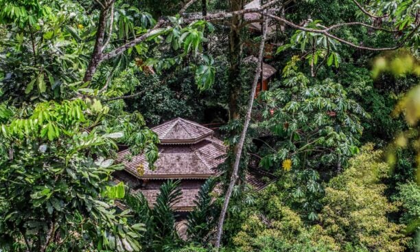 Pacuare lodge seen through the trees