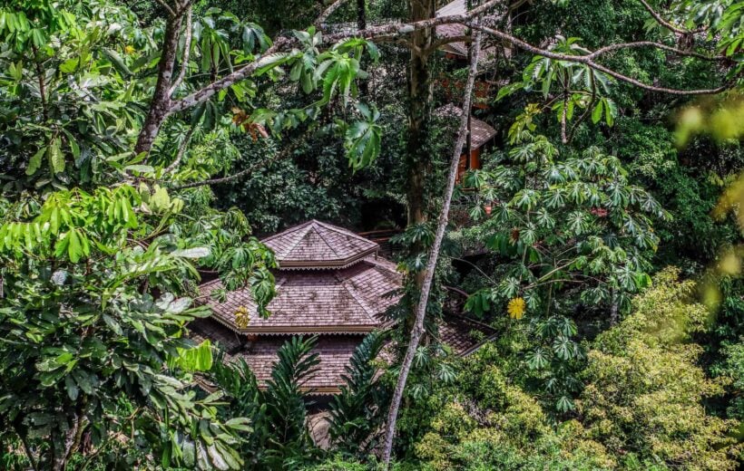 Pacuare lodge seen through the trees