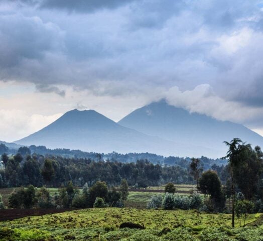 Virunga volcano national park in Rwanda