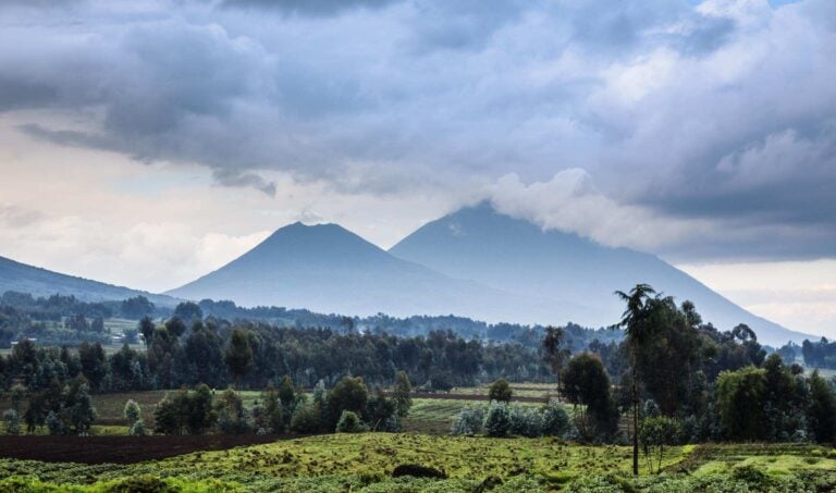 Virunga volcano national park in Rwanda