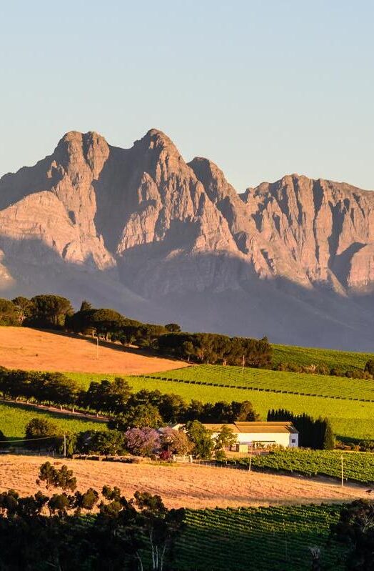 Stellenbosch, Western Cape, South Africa