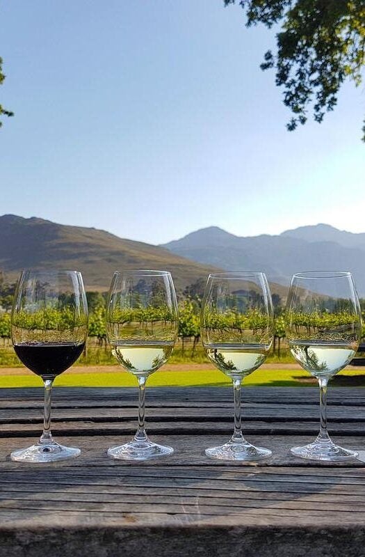 Wine tasting in Stellenbosch, South Africa. From the front: blanc de noir, chardonnay, sauvignon blanc, merlot, cabernet sauvignon.