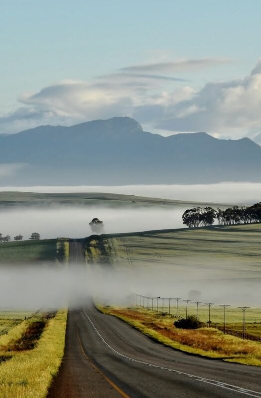 A quiet country road in Swartland, South Africa