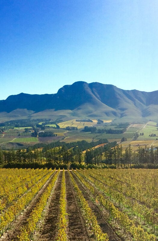 Hemel-en-Aarde wine region