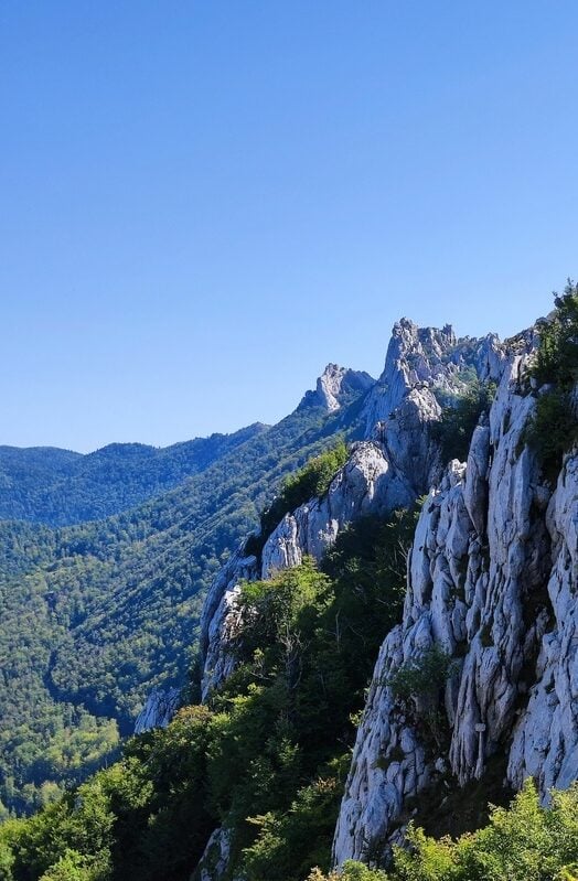 Vertical of the mountains and forest in Northern Velebit National Park in Croatia