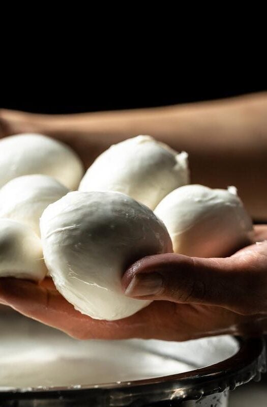 Cheesemaker, showing freshly made mozzarella.