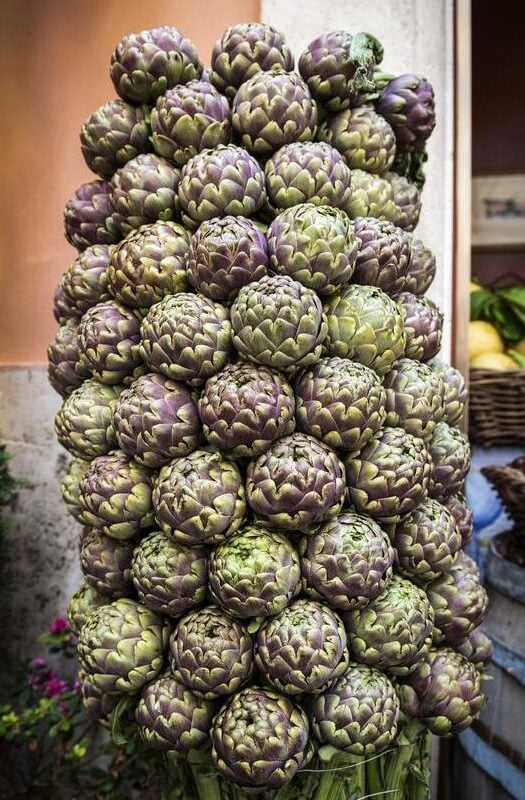 artichokes in Italy