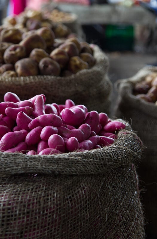 Small purple potatoes at the market in Silvia, Colombia.