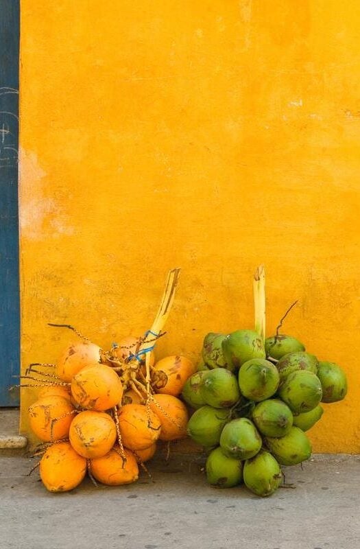 Fresh coconuts in the street of Cartagena, Colombia