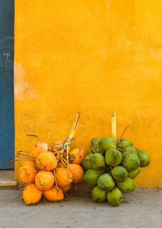 Fresh coconuts in the street of Cartagena, Colombia