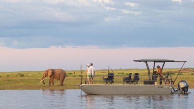 Fothergill, Zimbabwe