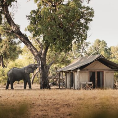 Wilderness Davison's Camp, Zimbabwe