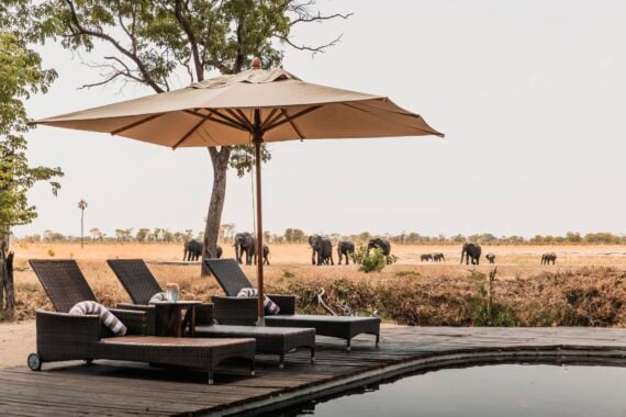 Sun loungers by the pool at Wilderness Davison's Camp, Zimbabwe