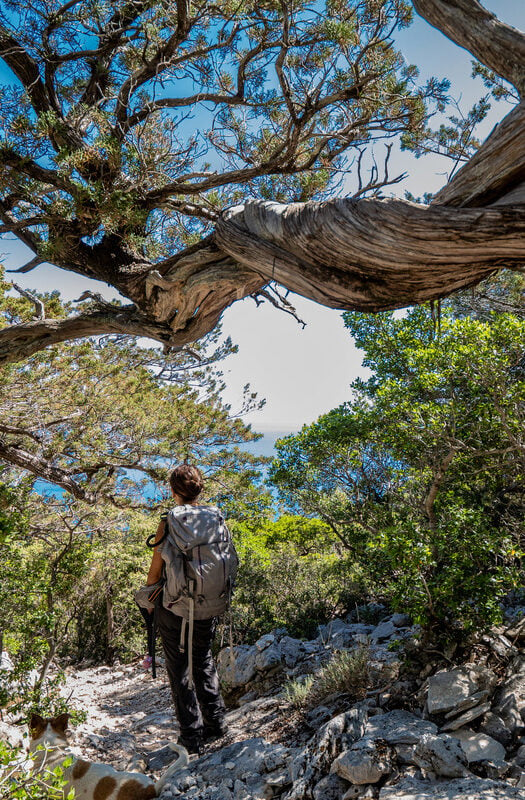 hiking in sardinia in a forest on the coast