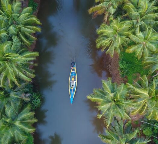 View from above of a canoe on the backwaters of a tree-lined river in Kerala, india