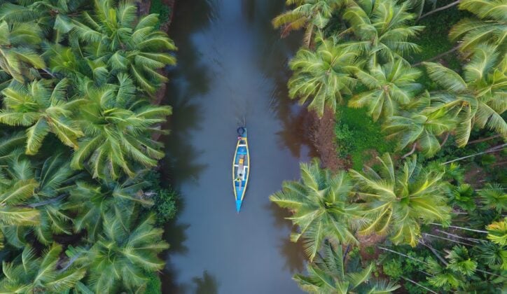 View from above of a canoe on the backwaters of a tree-lined river in Kerala, india