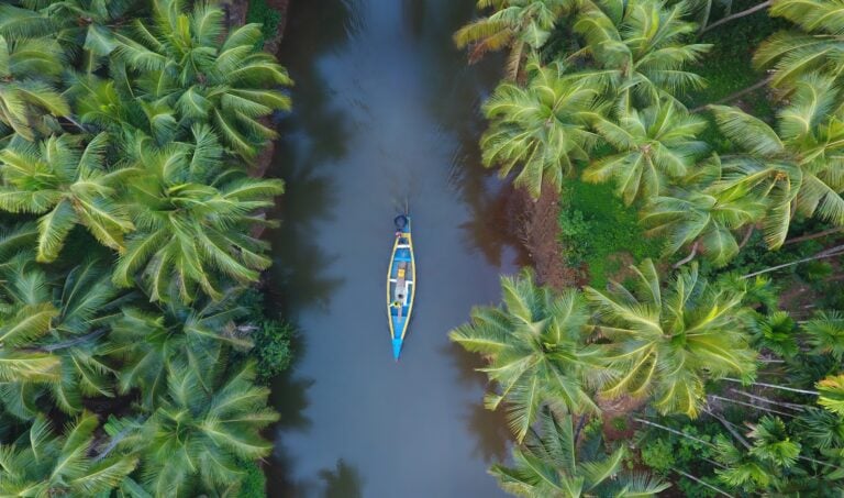 View from above of a canoe on the backwaters of a tree-lined river in Kerala, india