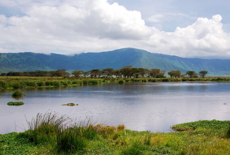 Beauty of nature near Lake Manyara with hippos in valley