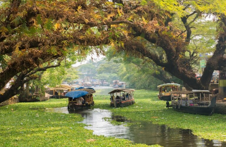 Houseboats on the backwaters of Kerala in Alappuzha (Alleppey).