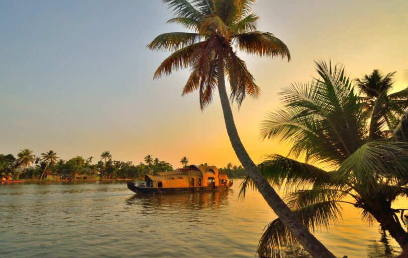 Palm trees sloping over a river and houseboat at sunrise over a Kerala river