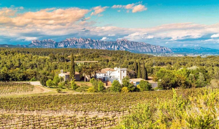 Looking over the Penedes wine reguion near Barcelona