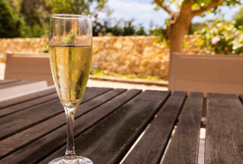 Sampling cava in the Penedes