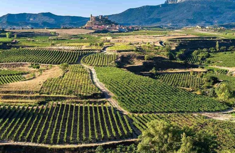 Vicente de la Sonsierra in the background in La Rioja