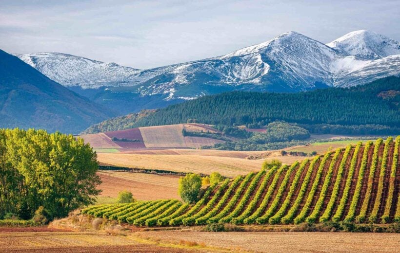 Vineyards and mountain views in La Rioja