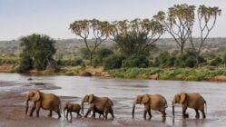 kenya travel tours