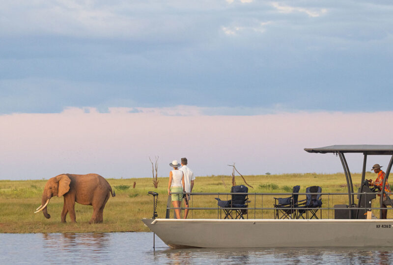 Spotting an elephant during a boat cruise on Lake Kariba, Zimbabwe