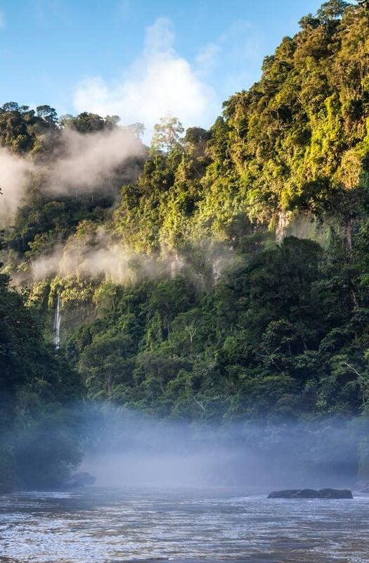 The Amazon river in the jungle, Southern Peruvian Amazon