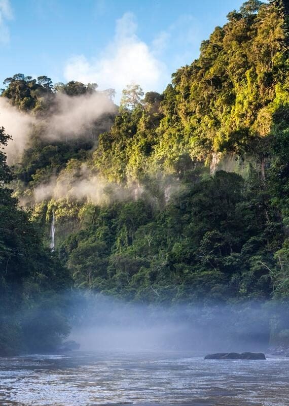 The Amazon river in the jungle, Southern Peruvian Amazon