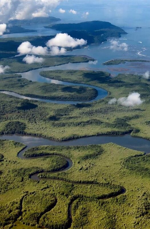 Aerial view of a river in the Osa Pensinsula, Costa Rica