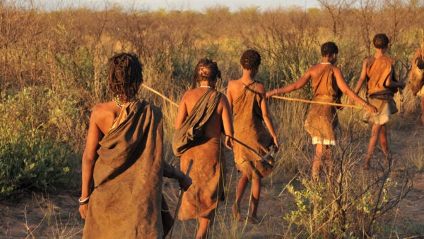 San bushmen in the Kalahari desert