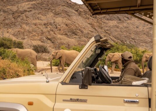 Game drive at Hoanib Valley Camp, Namibia