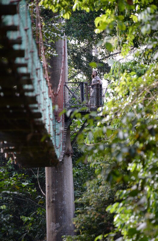 Borneo Rainforest Lodge, Borneo