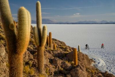 A cactus island in the Salar de Uyuni salt flats in Bolivia