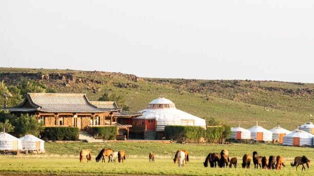 A view of Three Camel Lodge in the Gobi Desert, Mongolia, with horses grazing outside