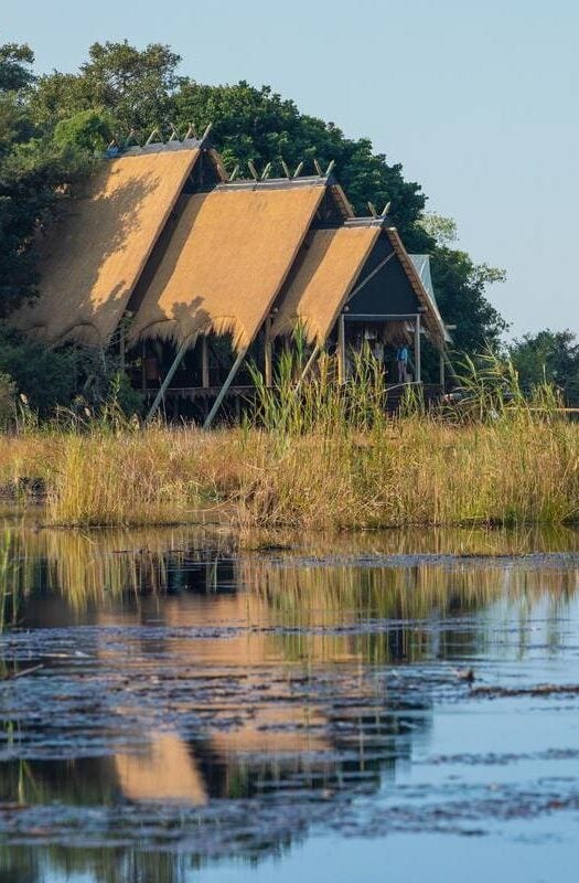 Selinda Camp in Botswana